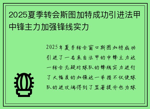 2025夏季转会斯图加特成功引进法甲中锋主力加强锋线实力
