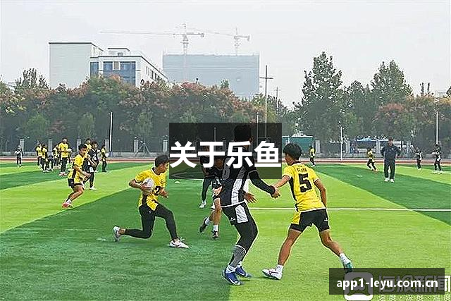 关于乐鱼